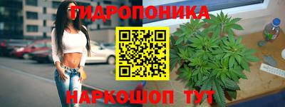 твердый Краснознаменск
