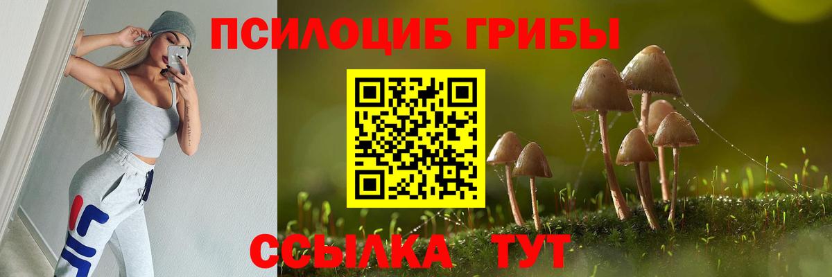 Псилоцибиновые грибы мицелий Егорьевск